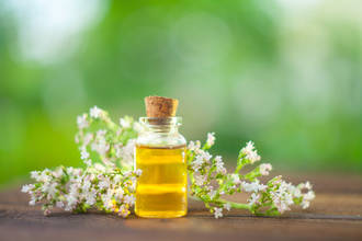 insomnie_six_plantes