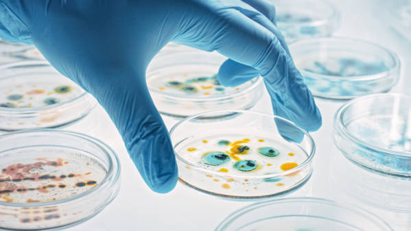 laboratoire_dedie_virus
