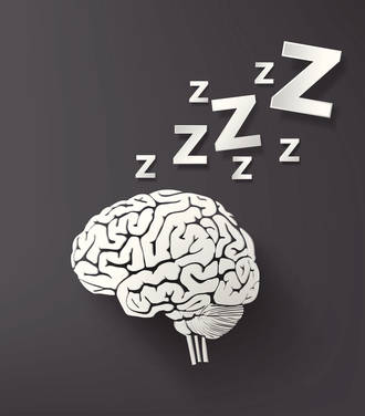laboratoire_unil_utilise_sommeil_pour_comprendre_cerveau