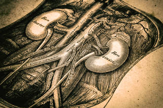 LMD_reins_souffrir_silence