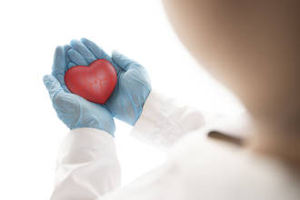 LMD_vers_transplantation_animale