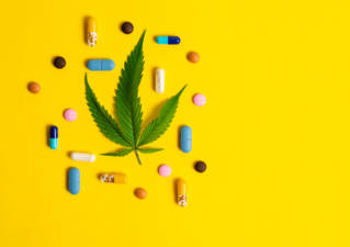 medecins_prescrire_cannabis_medical