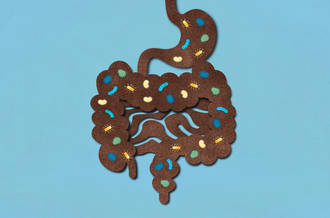 medicament_base_matieres_fecales