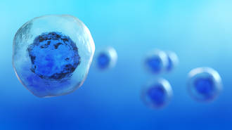 microchimerisme_don_organe_prison_viol_distance