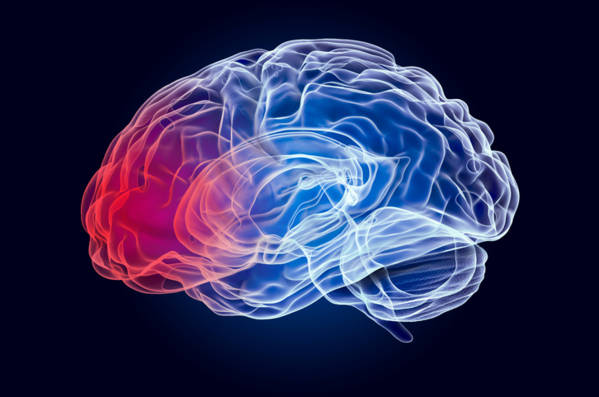 neurorehabilitation_aide_cerveau