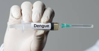 nouveau_vaccin_contre_dengue_en_phase1_tests