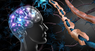 nouvelle_banque_donnees_sclerose_plaques