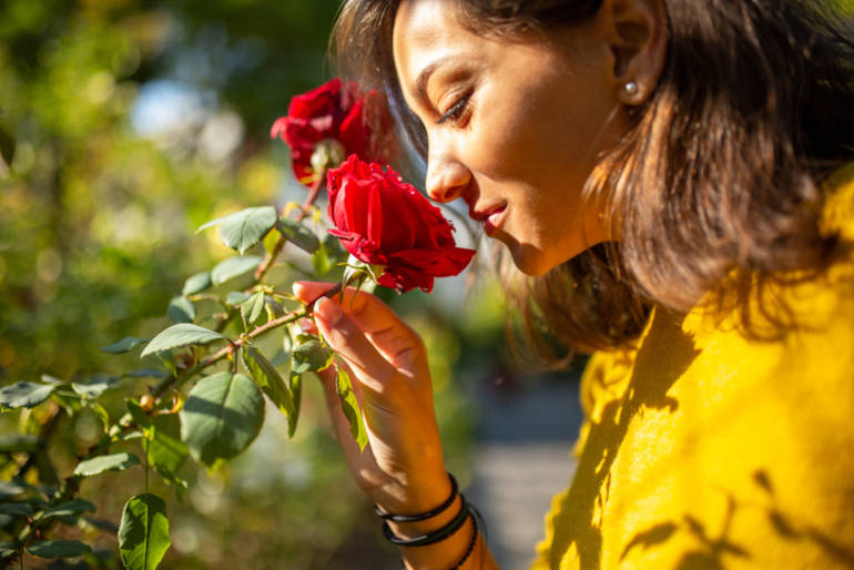 odorat_stimulation_intranasale