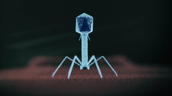 phagotherapie_resistance_antibiotiques