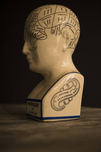 phrenologie_bosses_crane_caractere