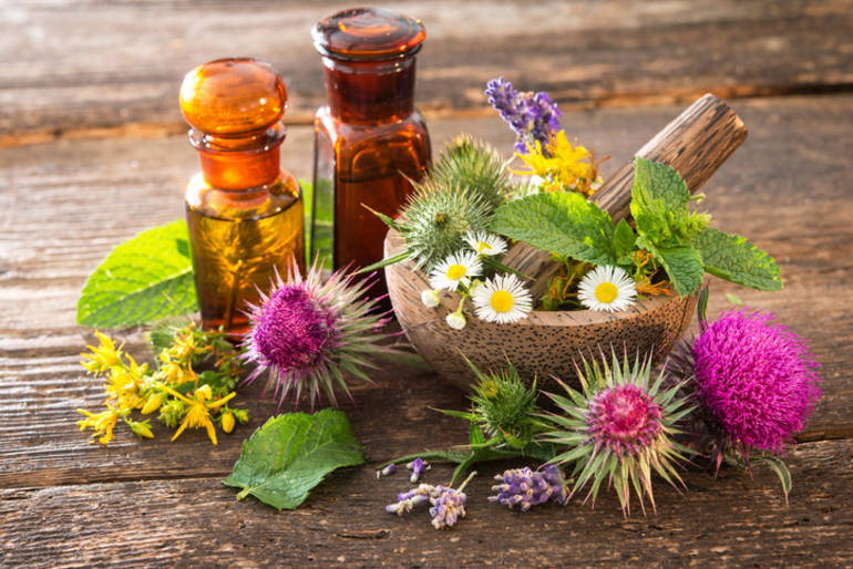 plantes_mieux_vieillir