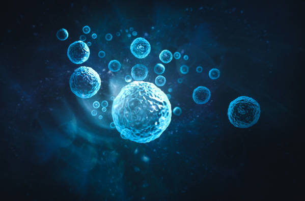 proteines_vie_cellules
