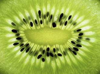 PS50_cure_detox_realite_illusion