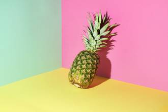 PS55_cinq_regimes_loupe