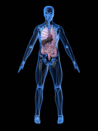 quand_corps_nous_fait_voir_de_toutes_les_couleurs