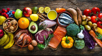 regime_paleo_specialiste_prehistoire