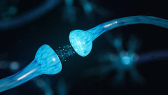 resynchroniser_neurones_schizophenie