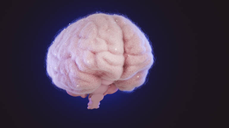 secrets_cerveau_decryptes