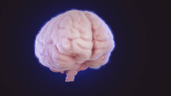 secrets_cerveau_decryptes