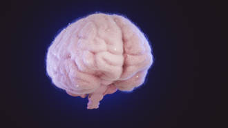 secrets_cerveau_decryptes