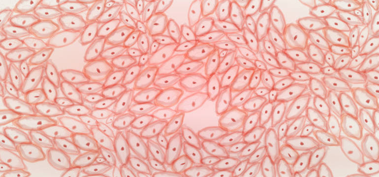 secrets_membres_repoussent