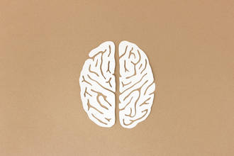 specialiste_cerveau_neurones_psychiatrie