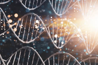 specialiste_genome_humain