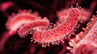 surveillance_pathogenes