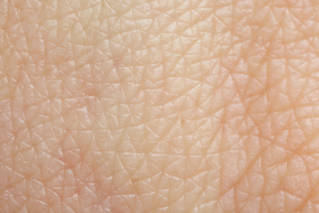 temperature_influence_cerveau