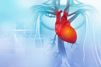 therapies_ultrasons_efficace_traitement_maladies_valves_cardiaques