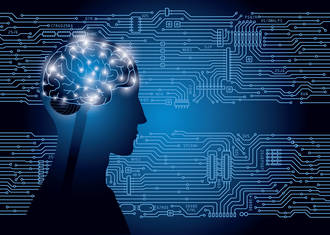 topolm_ia_structure_cerveau