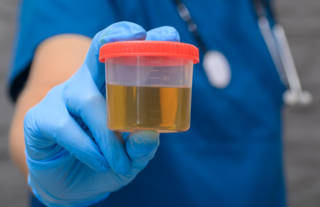 urine_vraiment_sterile