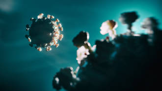 variants_covid_surveillance_nationale