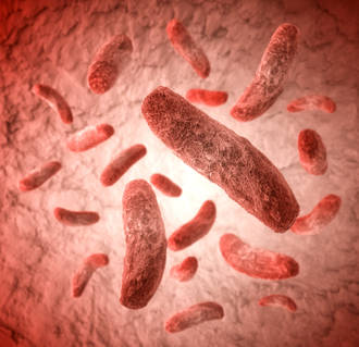 yersinia_pestis_bacterie_peste