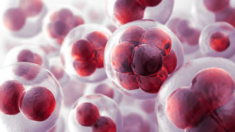 zoom_microscopique_flux_eau_cellulaires