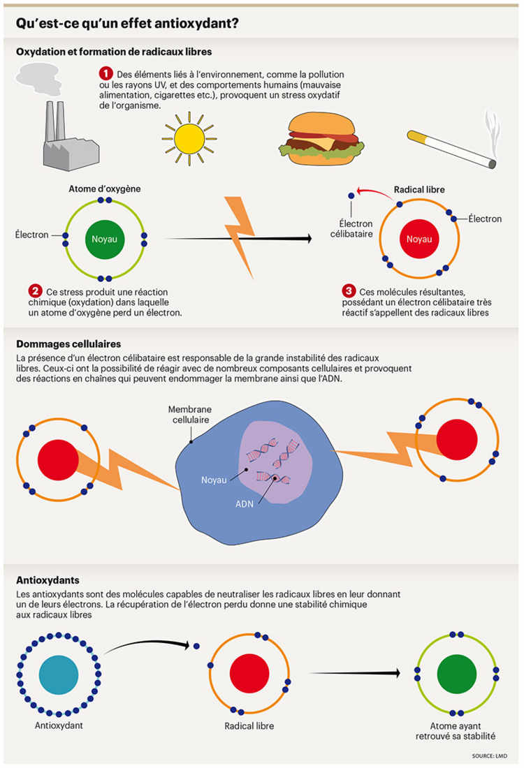 Qu'est-ce qu'un effet antioxydant?