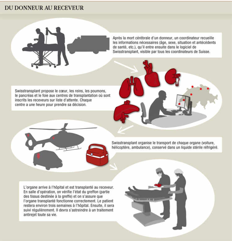 Du donneur au receveur