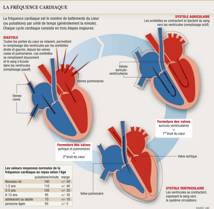 La fréquence cardiaque