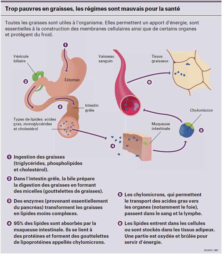 infog_graisses rehabilitation_2017