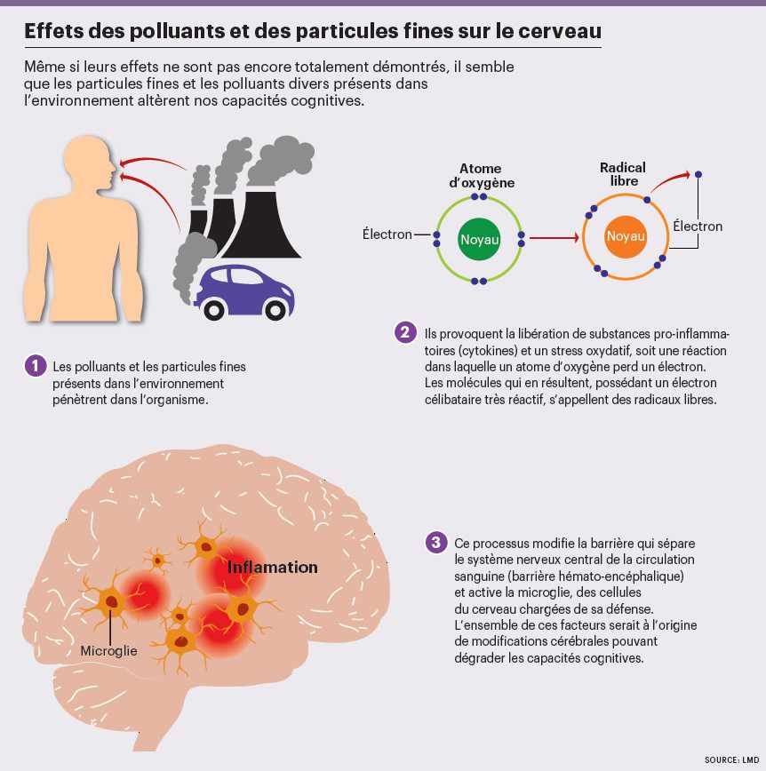 infog_traffic_routier_demence