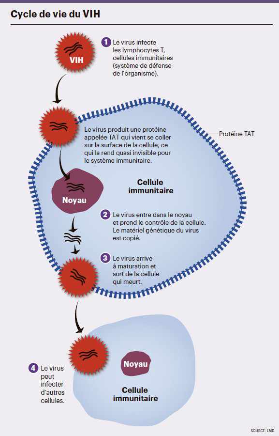 infog_traitements_sida