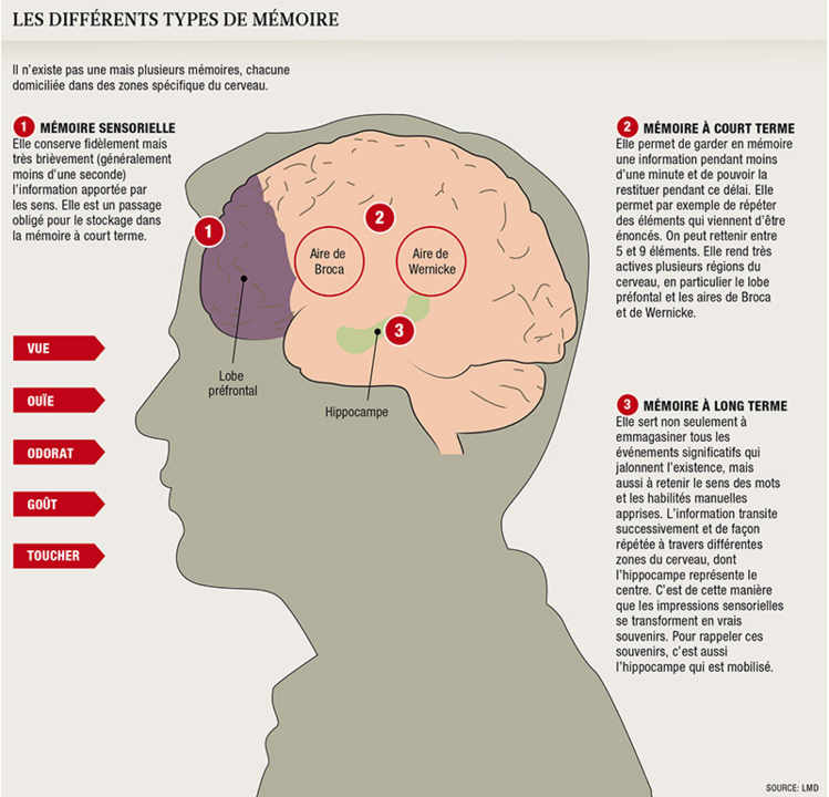 Les trous de mémoire sont le plus souvent sans gravité