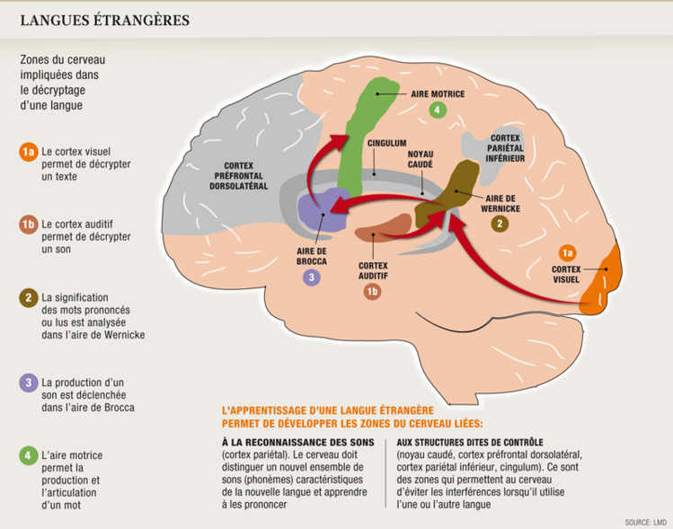 Langues étrangères