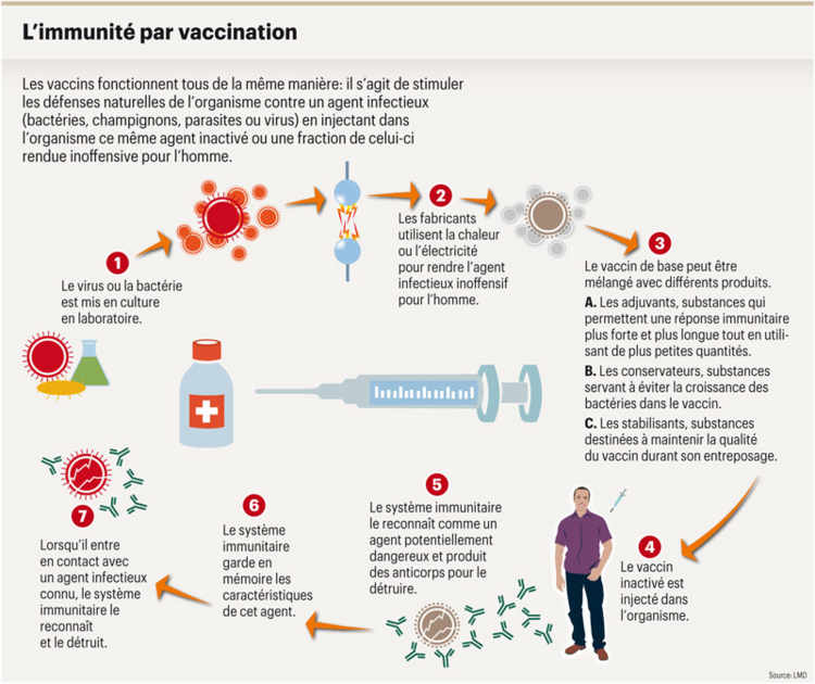 L'immunité par vaccination