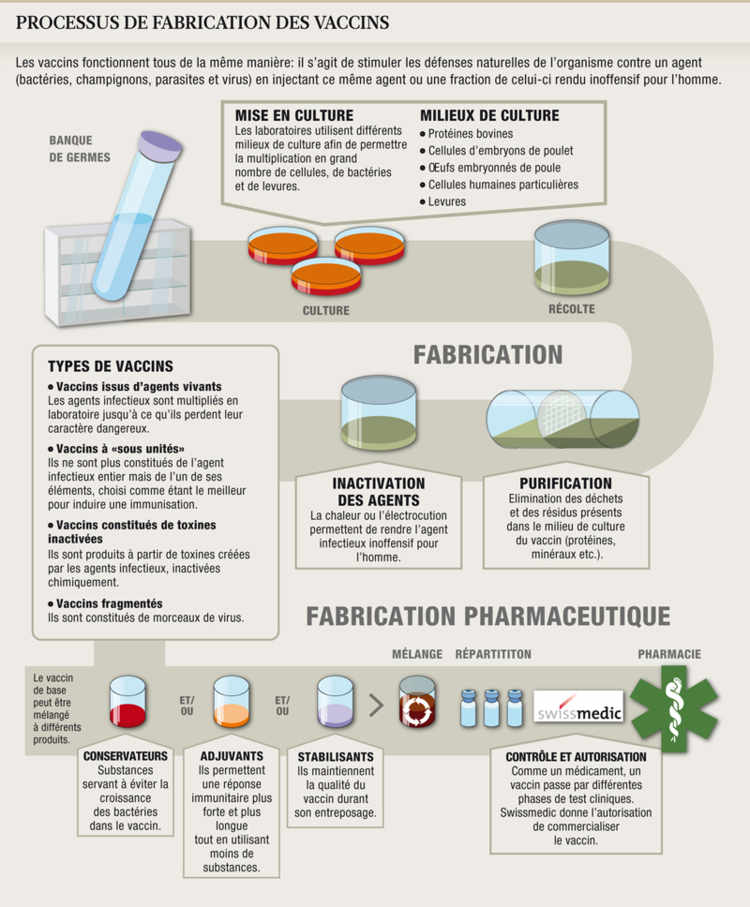 Processus de fabrication des vaccins