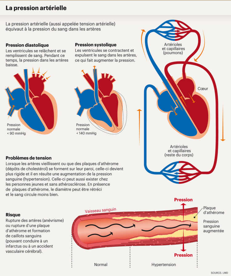La pression artérielle