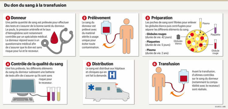 Du don du sang à la transfusion