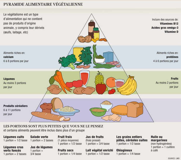 Pyramide alimentaire végétalienne