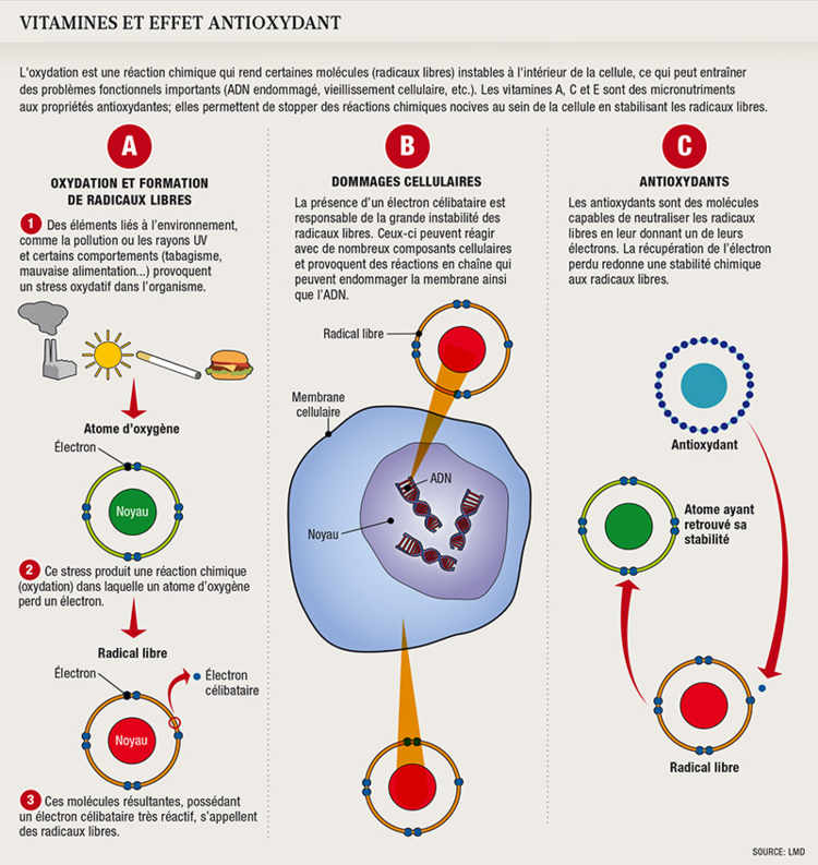Manger varié suffit à couvrir les besoins en vitamines
