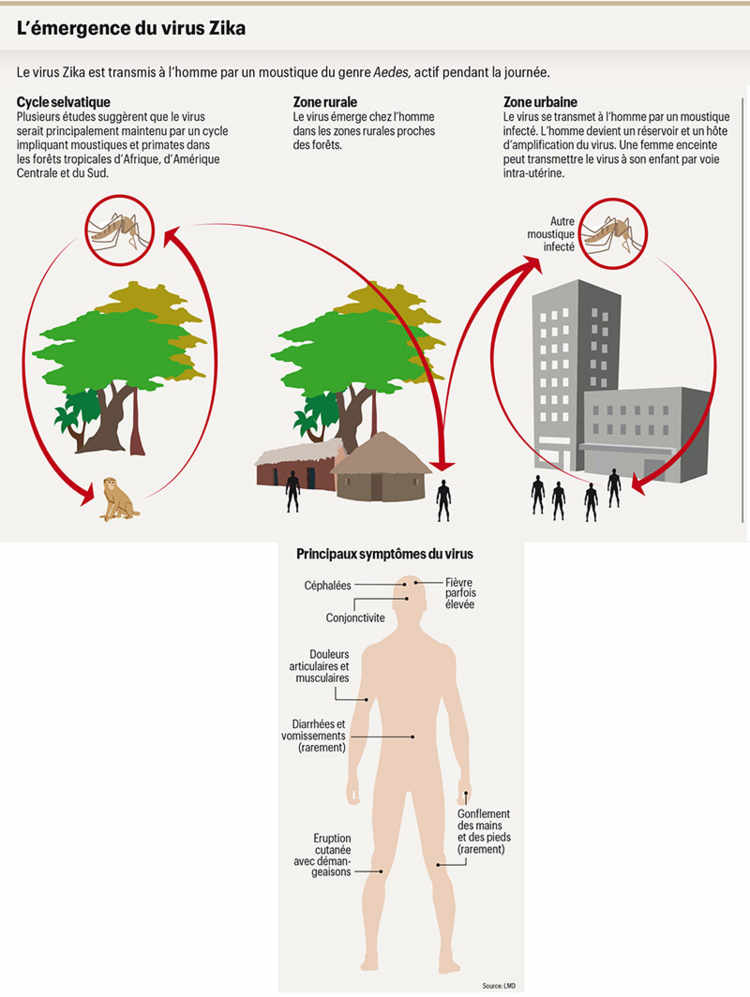 L’émergence du virus Zika